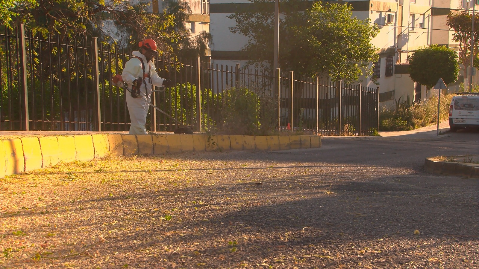 Limpieza Santa Isabel (abril 2024) (13)