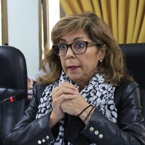 pleno ordinario 27-04 (21)portal