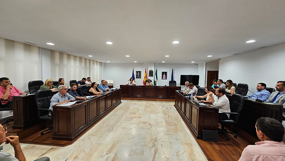 03 06 24 pleno extraordinario (1p)