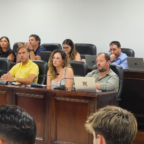 Pleno ordinario julio 