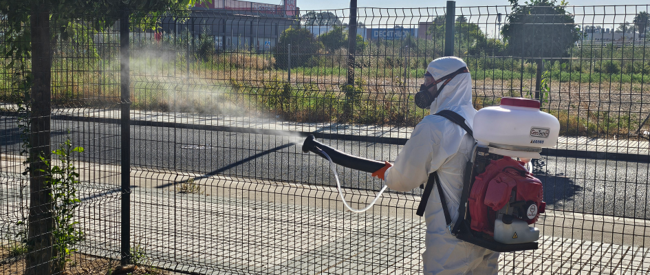 Fumigación mosquito