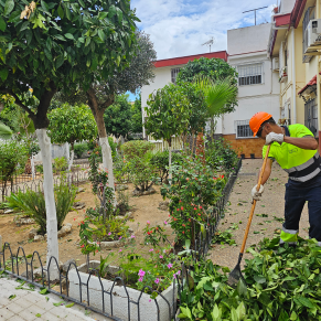 Limpieza jardinería San José Obrero (28-06-2024) (2)