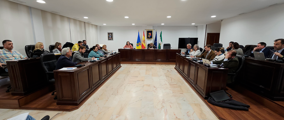 Pleno ordinario 19 12 24 (63)