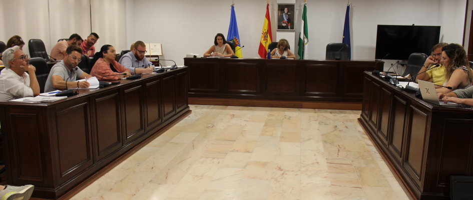 Pleno ordinario julio (1)