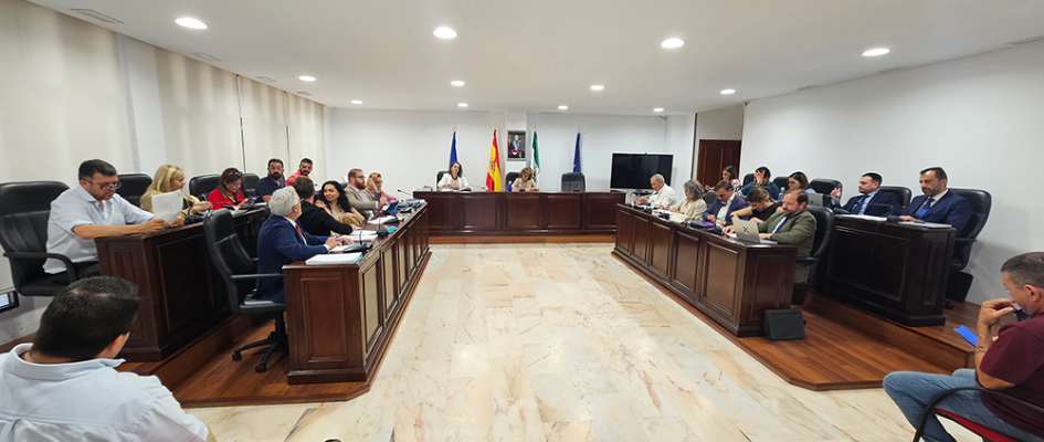 Pleno ordinario junio 24 (1p)