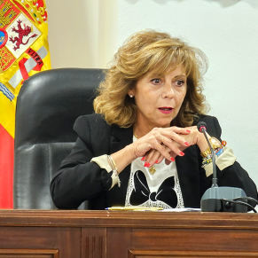 Presentación del carnaval (15)