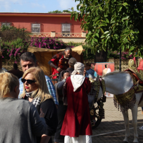 jornadas Roma reducidas (5)