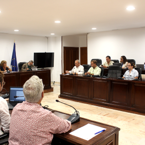 pleno cesped y ayuda domicilio (11p)