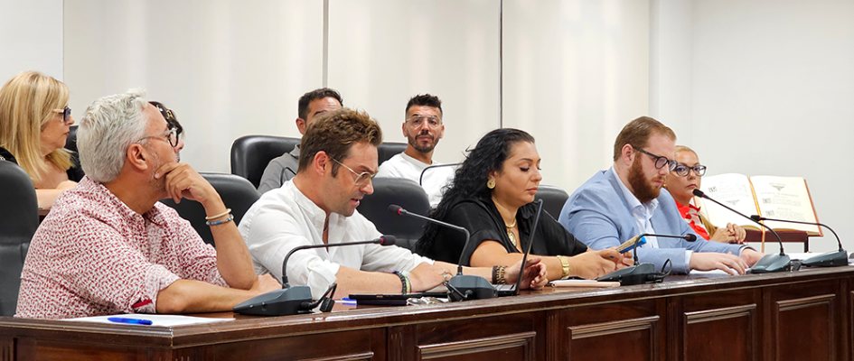 pleno cesped y ayuda domicilio (12p)