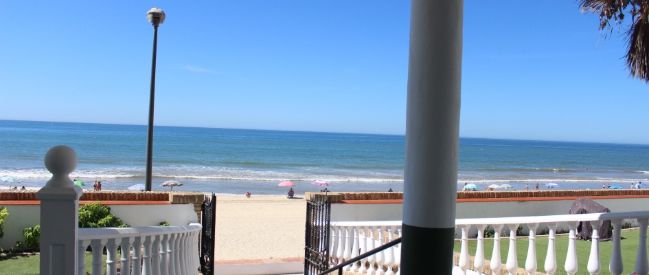 visita repor matalascañas (65)