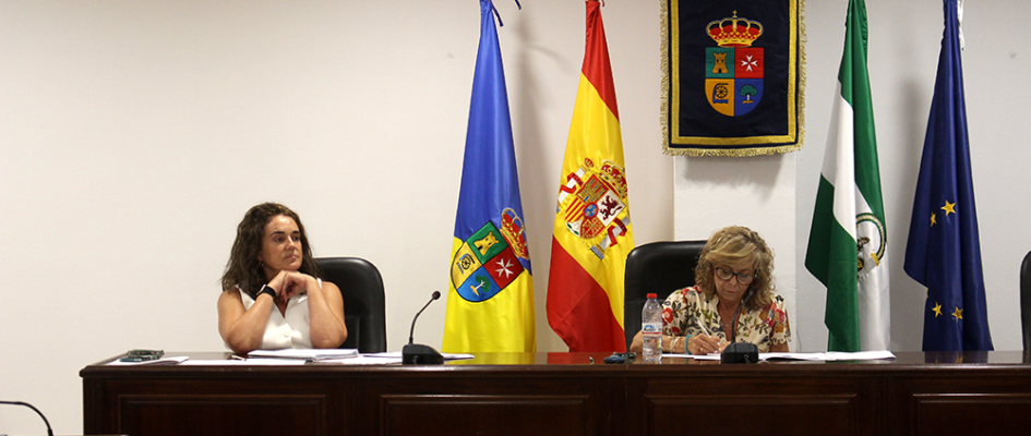 06 26 25 Pleno ordinario junio (12)