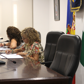 06 26 25 Pleno ordinario junio (17)