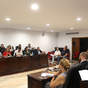 06 26 25 Pleno ordinario junio (44)