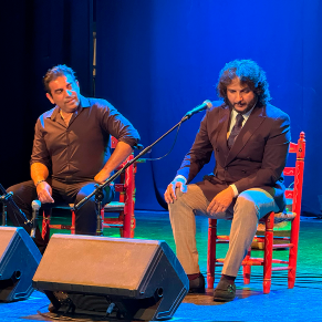 Gala del dia del pueblo gitano (5)