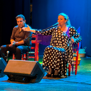 Gala del dia del pueblo gitano (6)