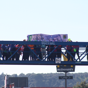 III Marcha contra el cáncer (251)