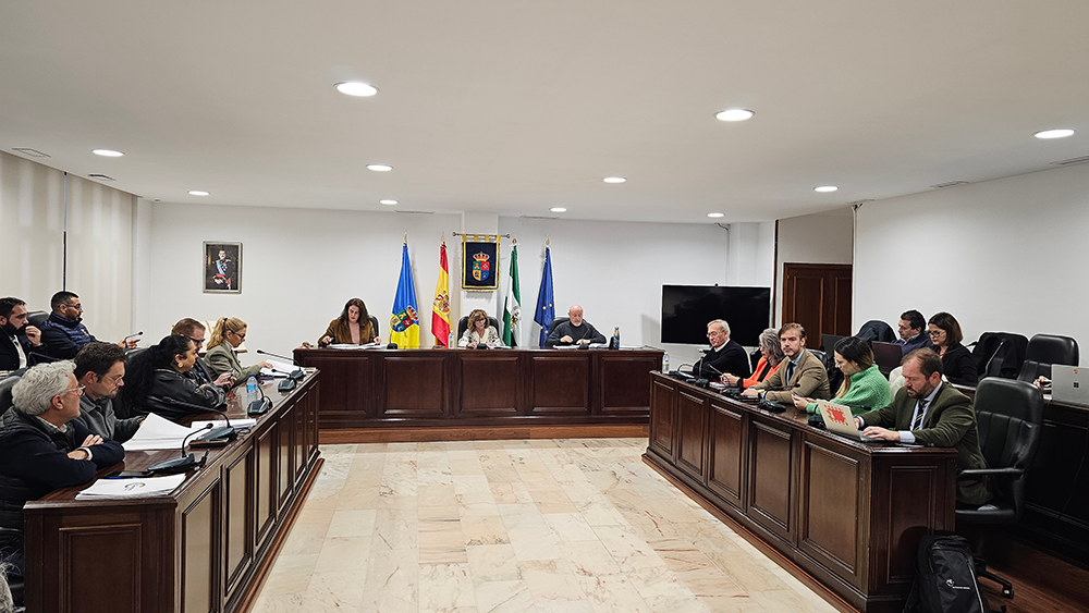 Pleno extraordinario alegaciones presupuesto (10)