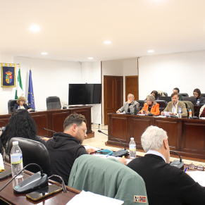 Pleno ordinario 20 marzo 25 (64)