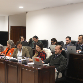 Pleno ordinario 20 marzo 25 (7)