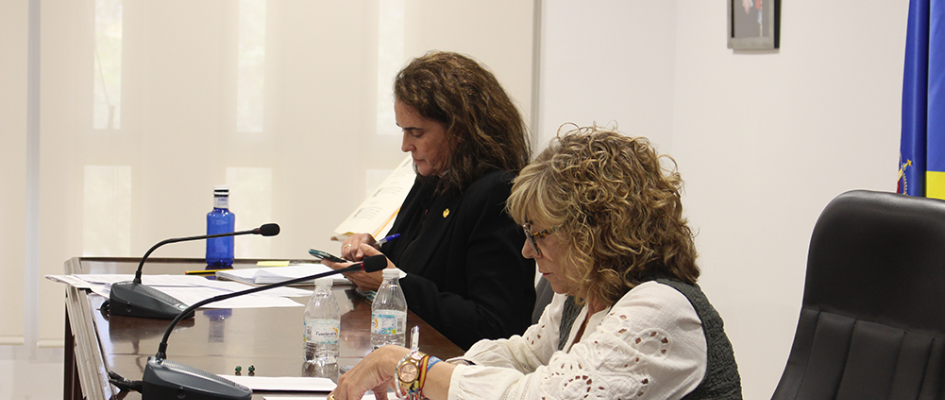 Pleno ordinario 24 04 25 (18)