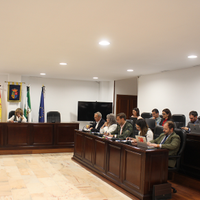 Pleno ordinario 24 04 25 (3)