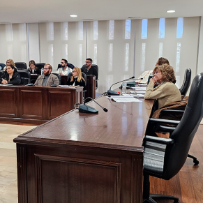 Pleno ordinario enero 16 01 25 (9p)