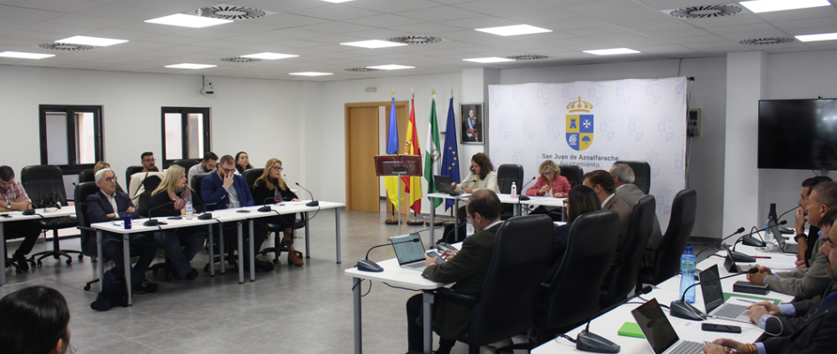 `pleno ordinario noviembre (55)