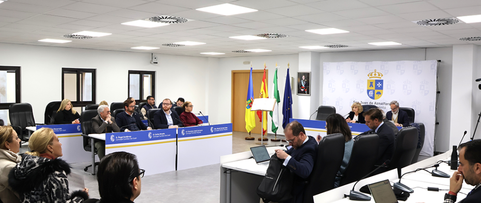 Pleno extraordinario gasolinera  (30)