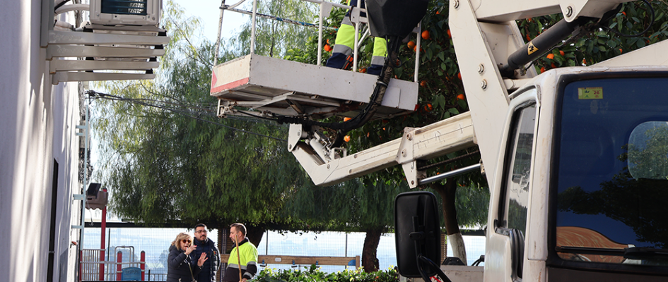 Poda en la Cooperativa enero 26 (18)