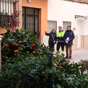 Poda en la Cooperativa enero 26 (93)