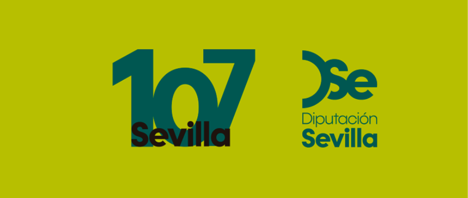 logo 107 y Diputación