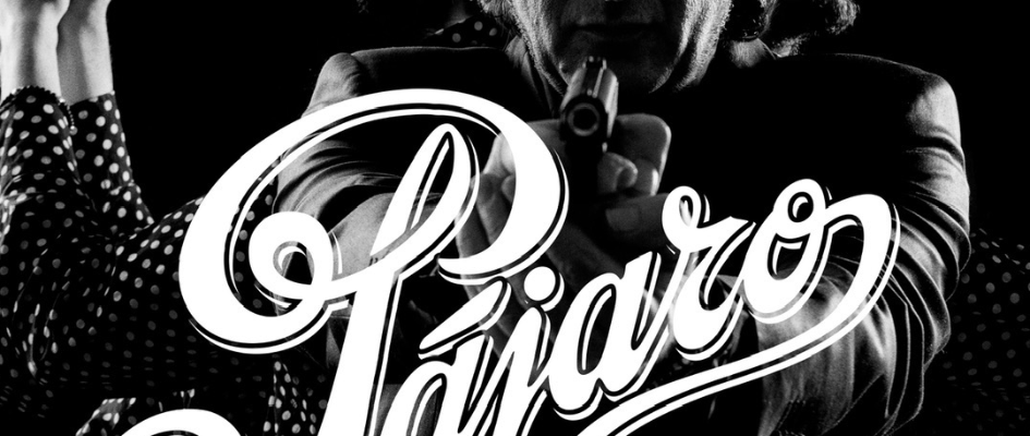 05 09 25 Cartel Pájaro Duo_2