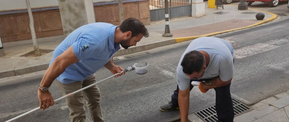 0d750ecb-c9ea-4686-a8a2-950b308d8ea7