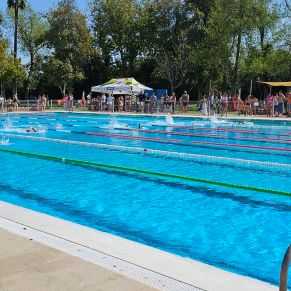 459977835_917577950407160_8114637382723952616_n