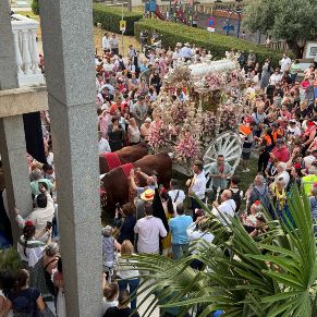 4791f706-4175-4225-b6e0-4021996e1680