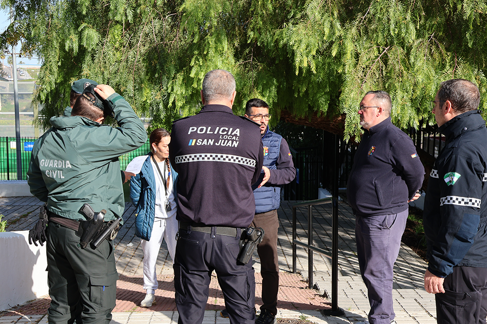 GAtos colonia de Paco (37)