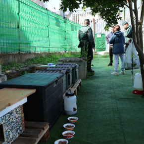 GAtos colonia de Paco (58)