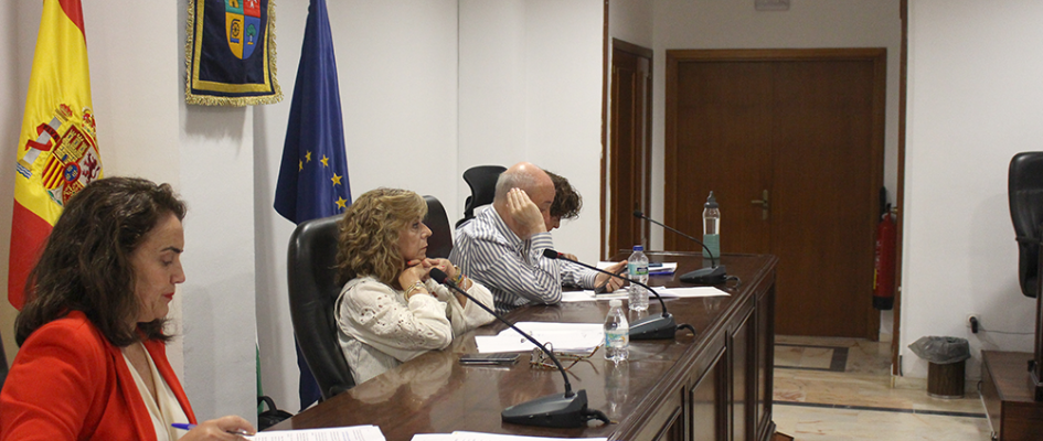 Pleno ordinario de mayo 15 05 25 (38)