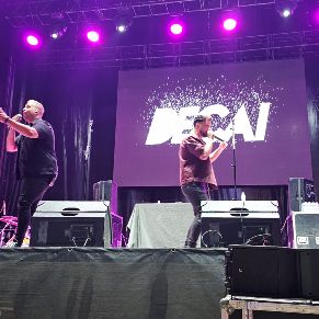 fiestas patronales (14)