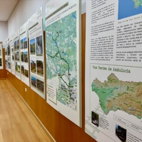 inauguracion exposcicion (6)